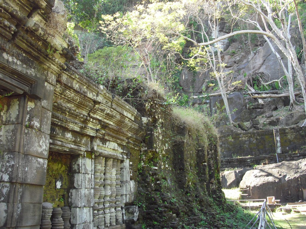 Image CIMG2486.JPG