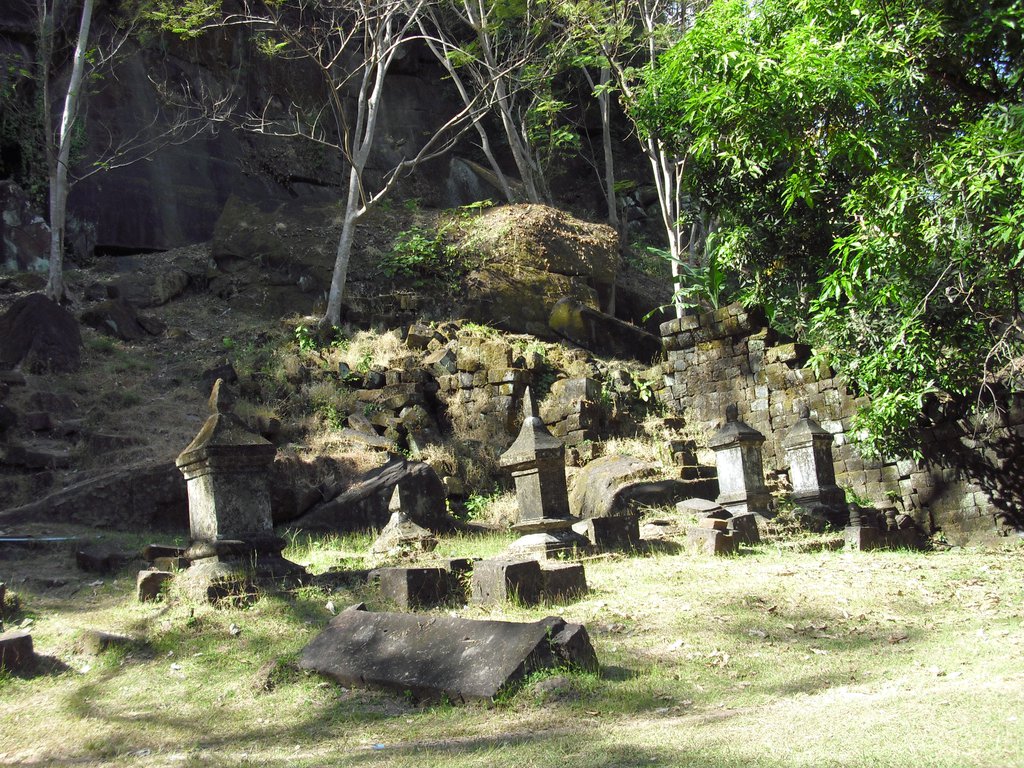 Image CIMG2487.JPG