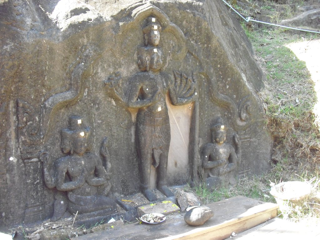 Image CIMG2488.JPG