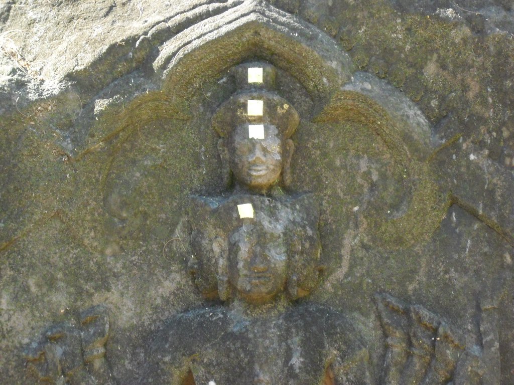 Image CIMG2490.JPG