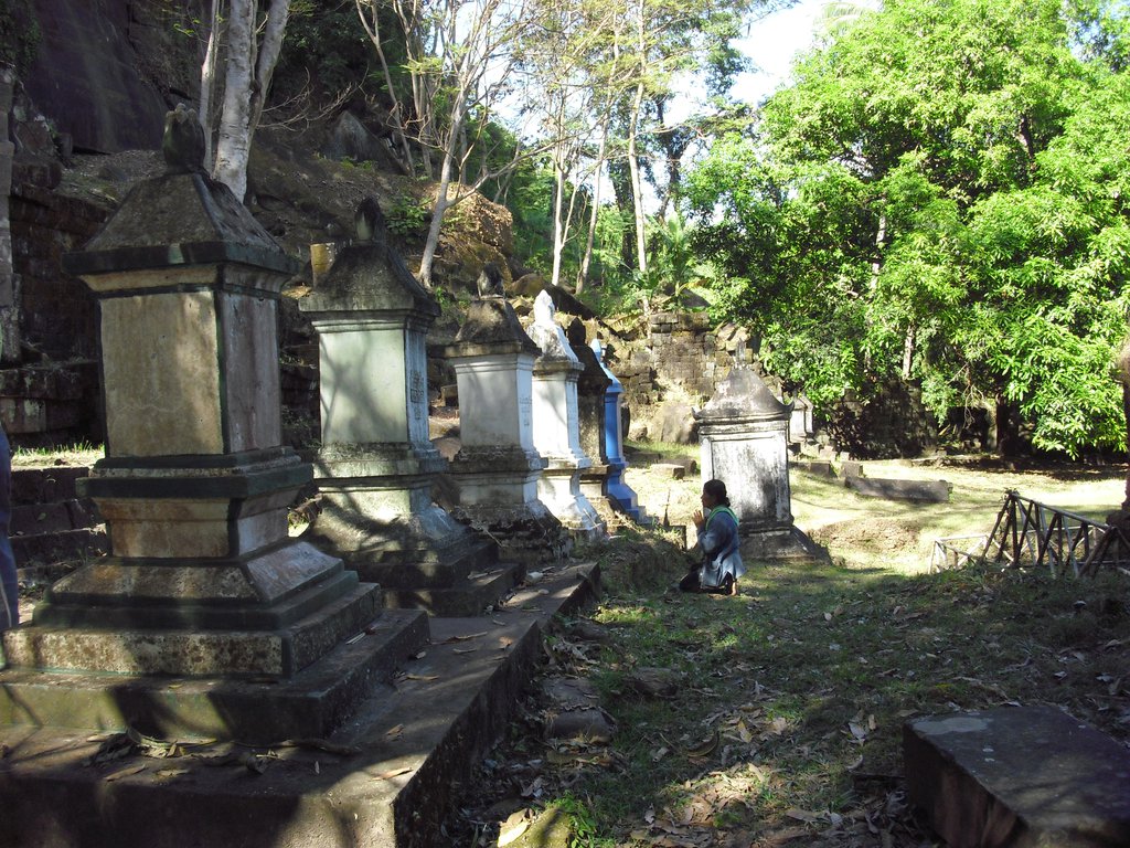 Image CIMG2491.JPG