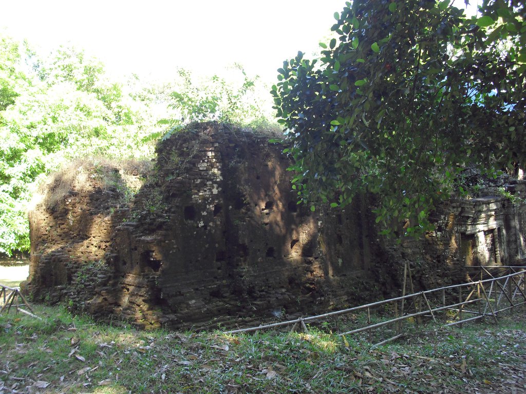 Image CIMG2493.JPG