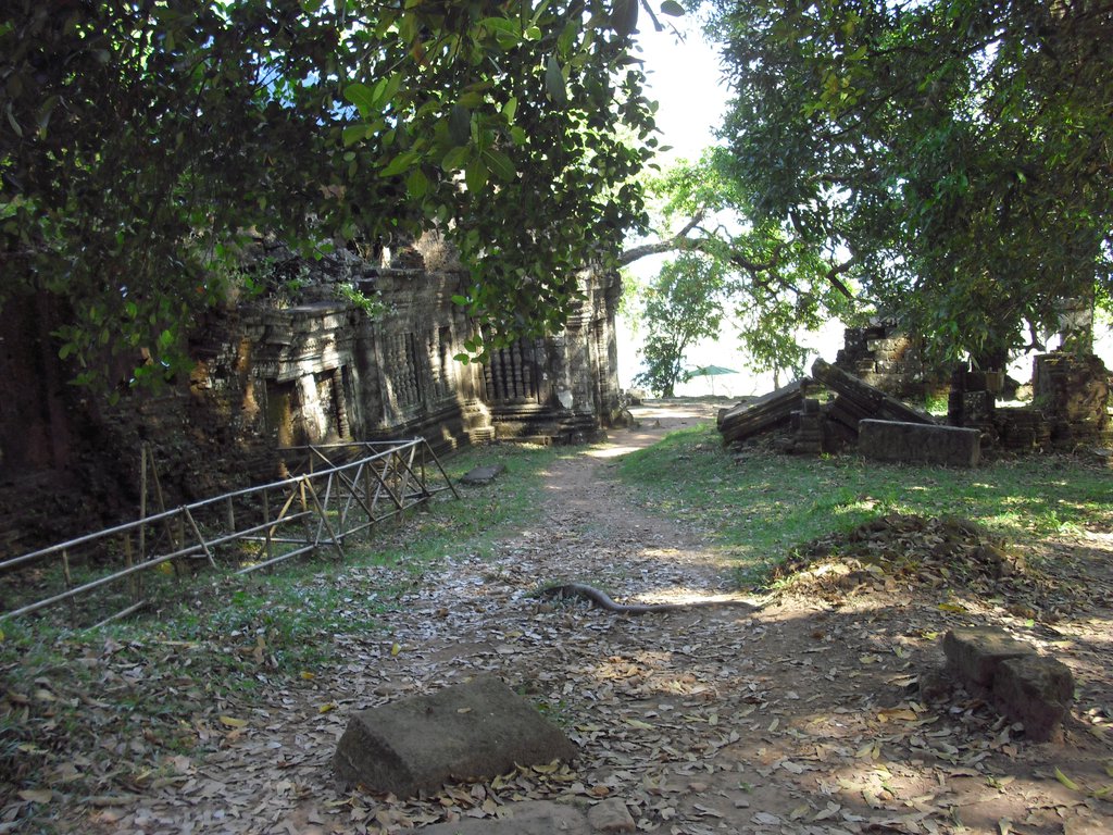 Image CIMG2494.JPG