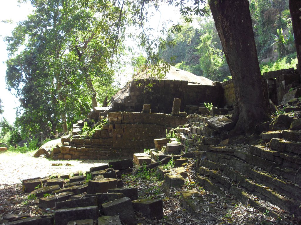 Image CIMG2496.JPG