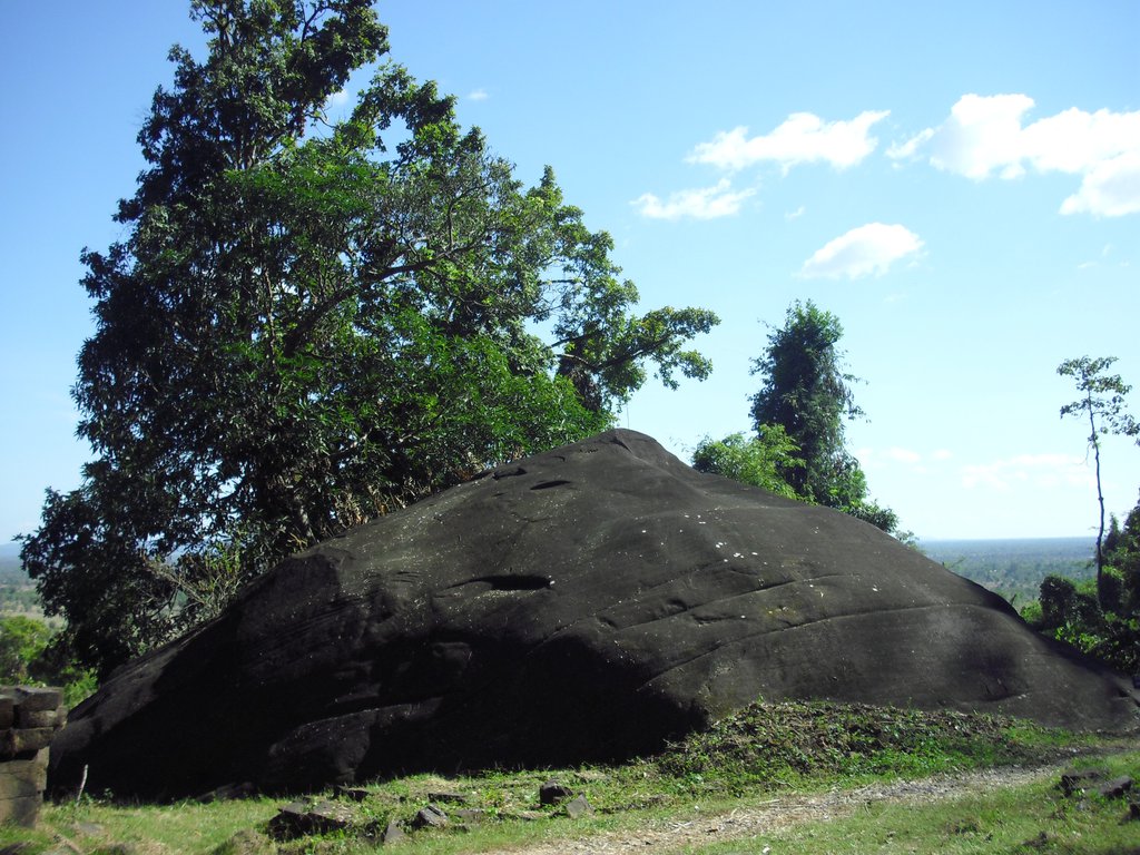 Image CIMG2499.JPG