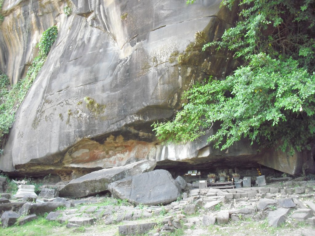 Image CIMG2503.JPG