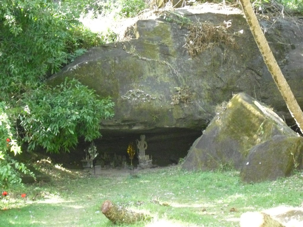 Image CIMG2506.JPG