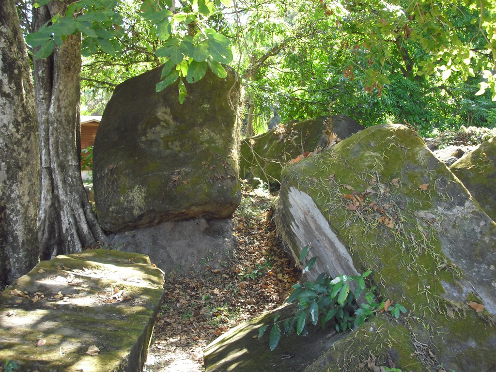 Image CIMG2507.JPG