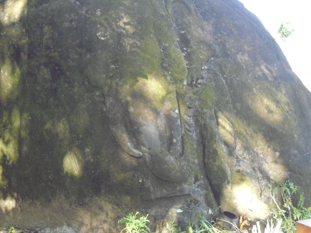Image CIMG2510.JPG