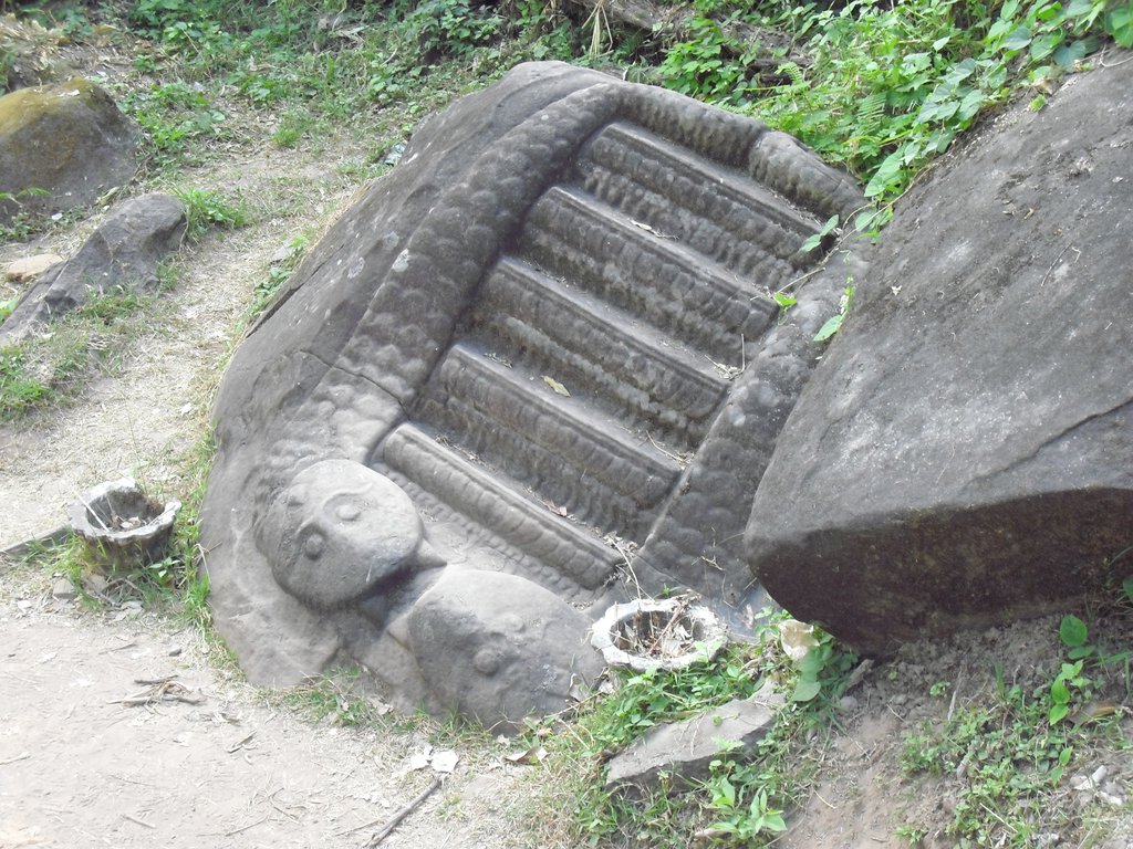 Image CIMG2512.JPG