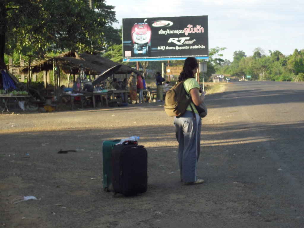 Image CIMG2534.JPG