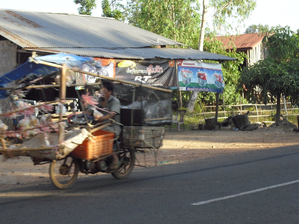 Image CIMG2535.JPG