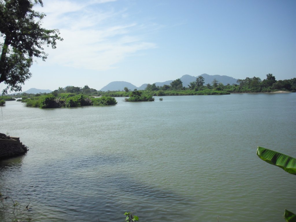 Image CIMG2541.JPG