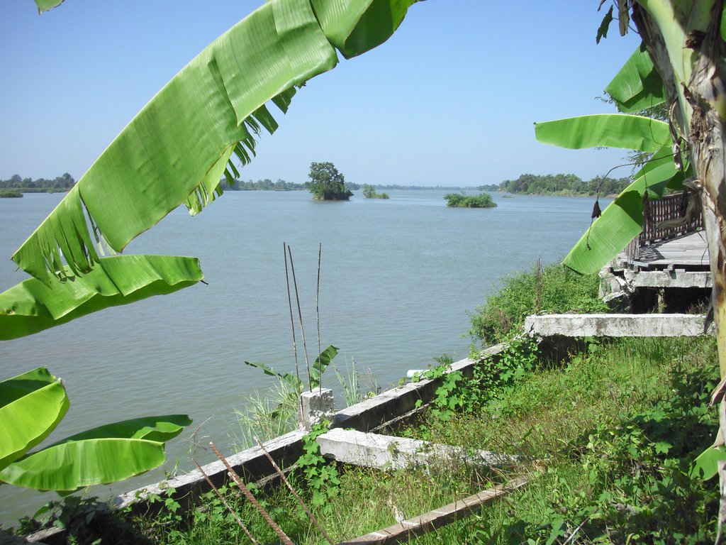 Image CIMG2542.JPG