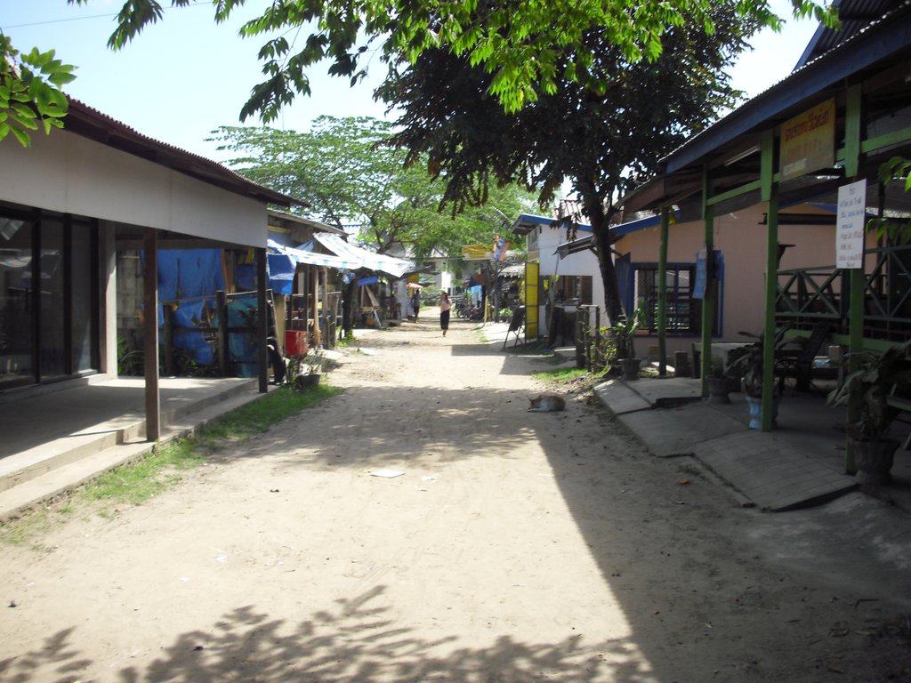 Image CIMG2546.JPG