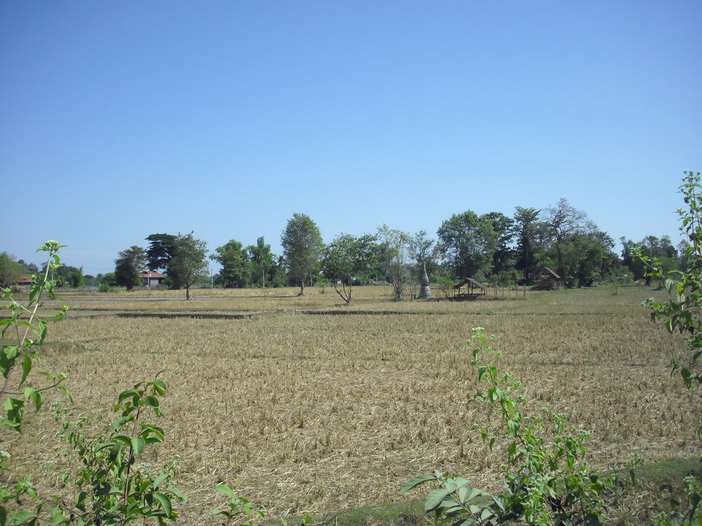 Image CIMG2554.JPG