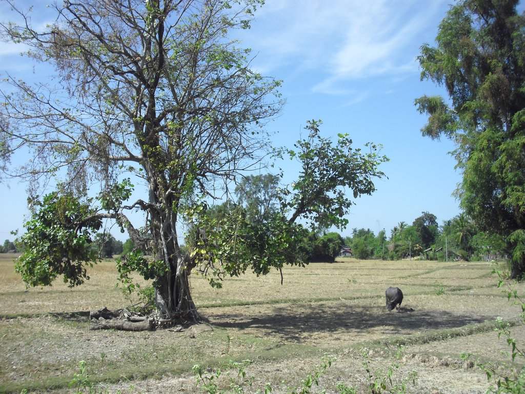 Image CIMG2555.JPG