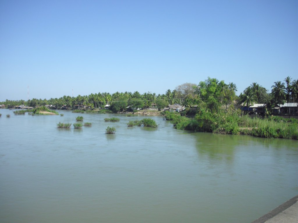 Image CIMG2556.JPG