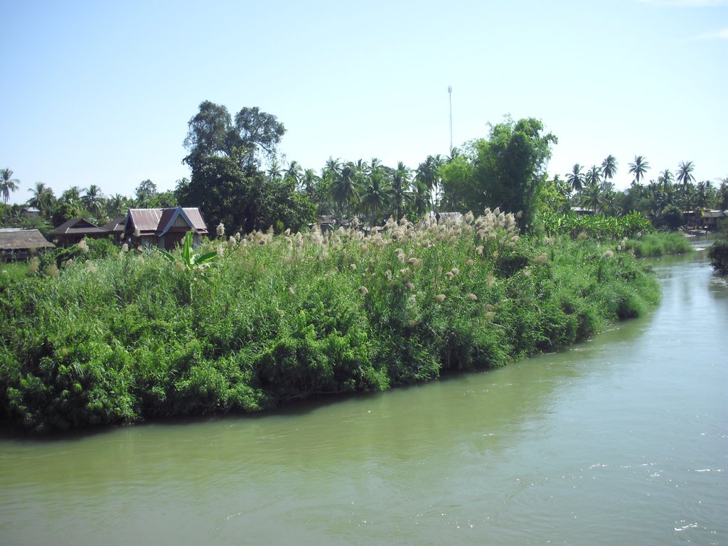 Image CIMG2566.JPG