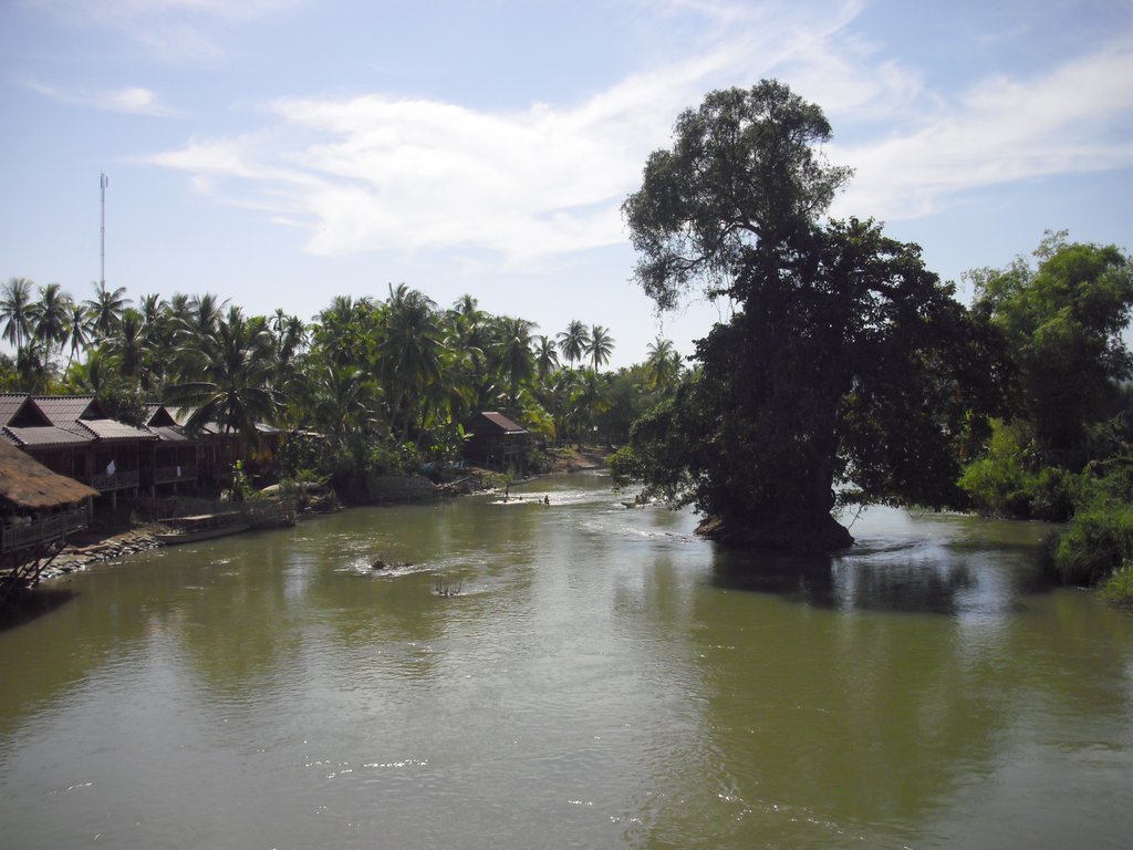 Image CIMG2567.JPG
