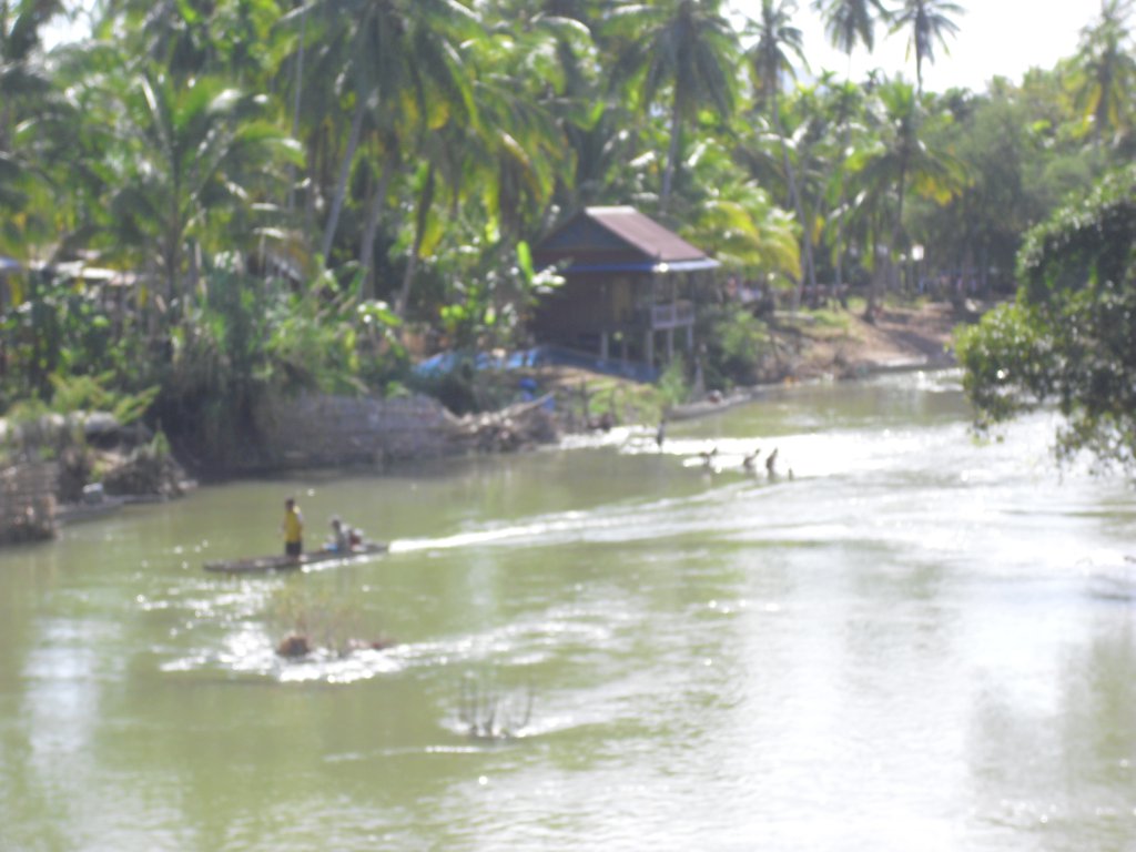 Image CIMG2568.JPG