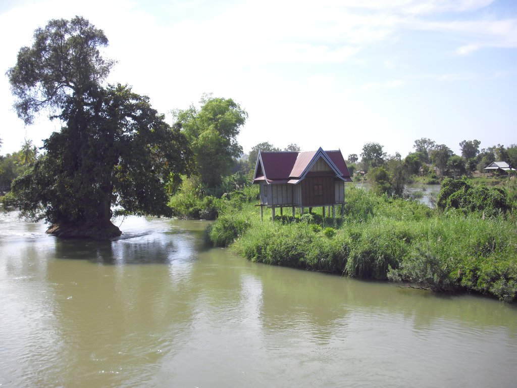 Image CIMG2569.JPG