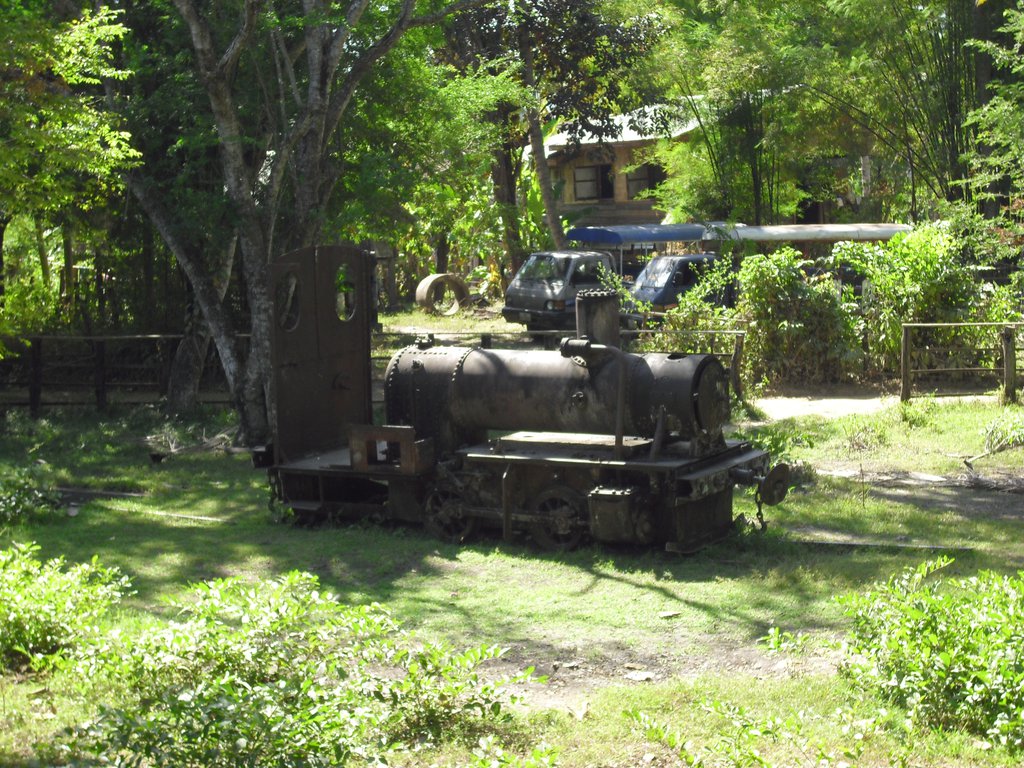 Image CIMG2570.JPG