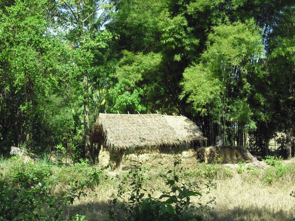 Image CIMG2571.JPG