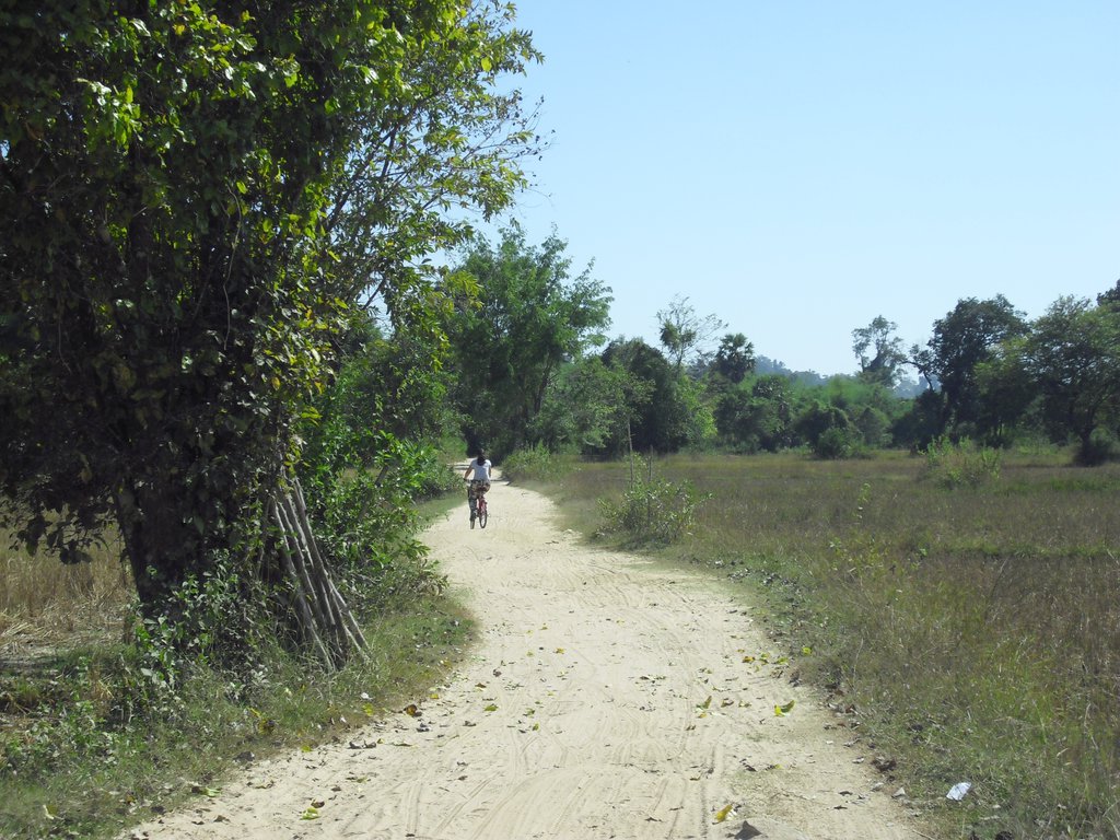 Image CIMG2574.JPG