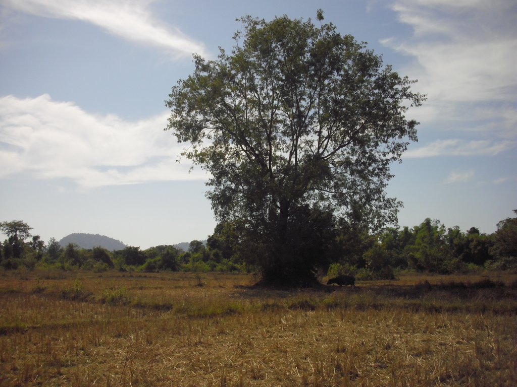 Image CIMG2575.JPG