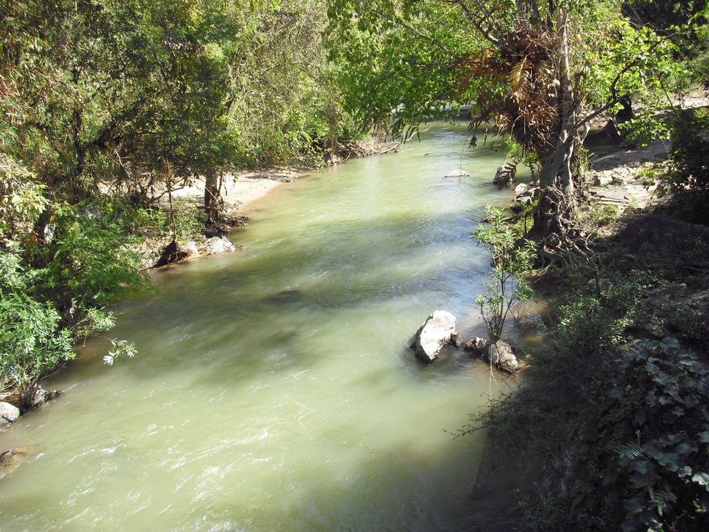 Image CIMG2577.JPG