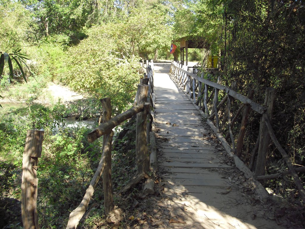 Image CIMG2578.JPG