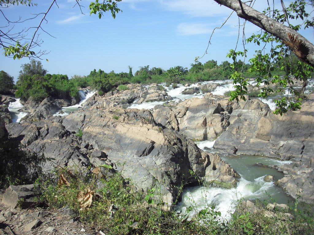 Image CIMG2581.JPG
