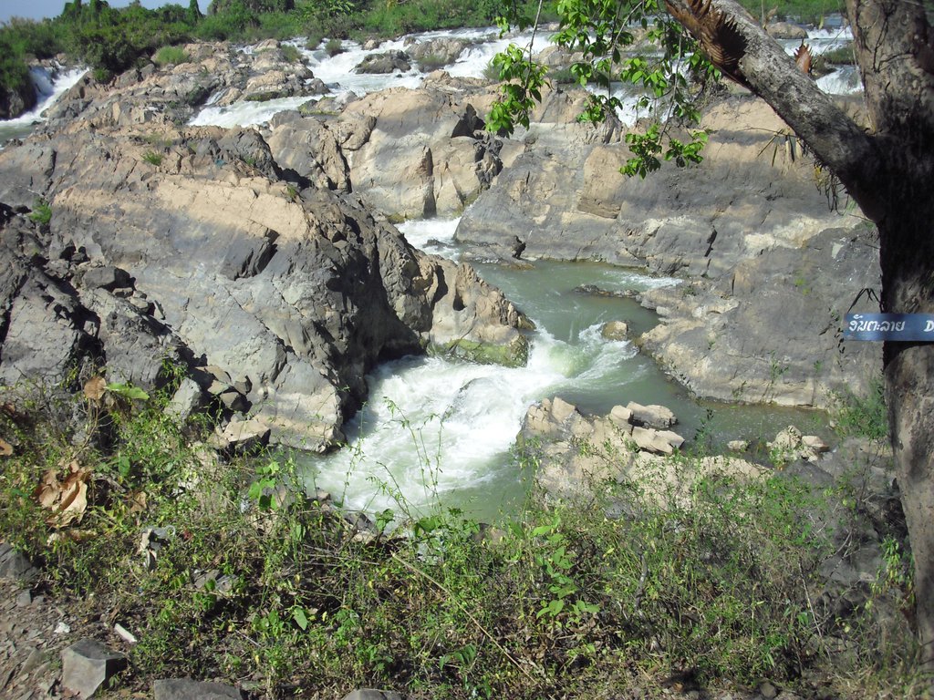 Image CIMG2582.JPG