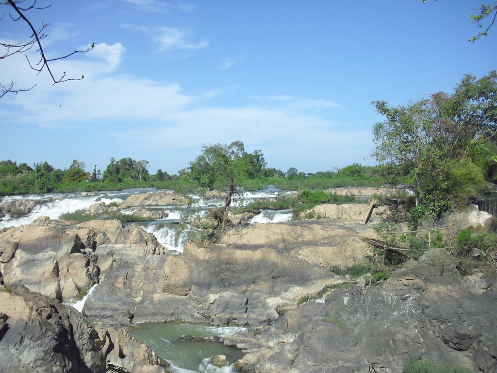 Image CIMG2585.JPG