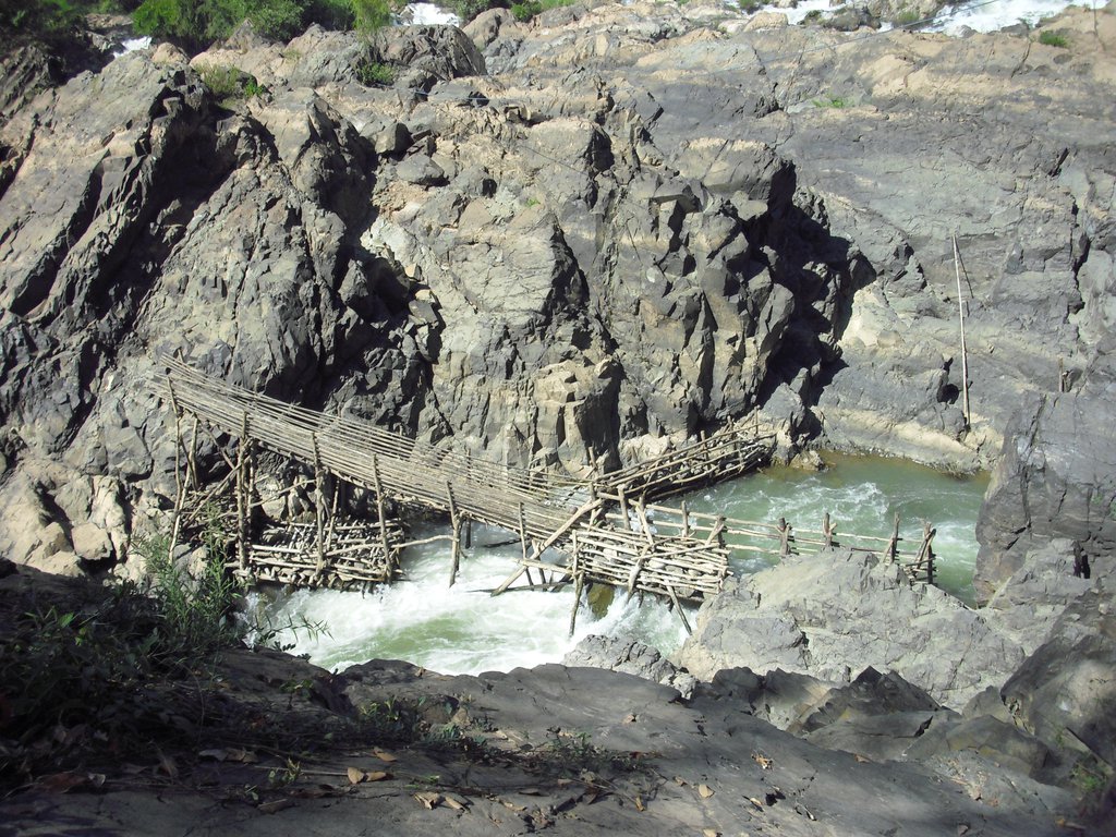 Image CIMG2591.JPG