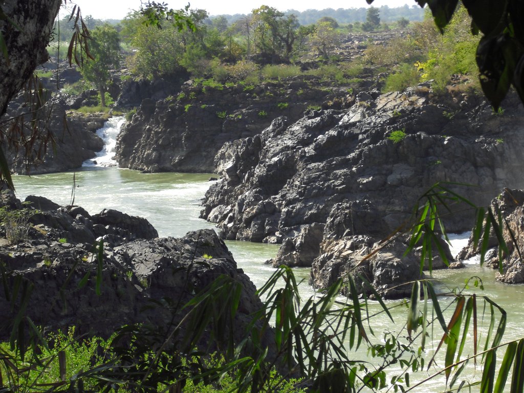 Image CIMG2601.JPG