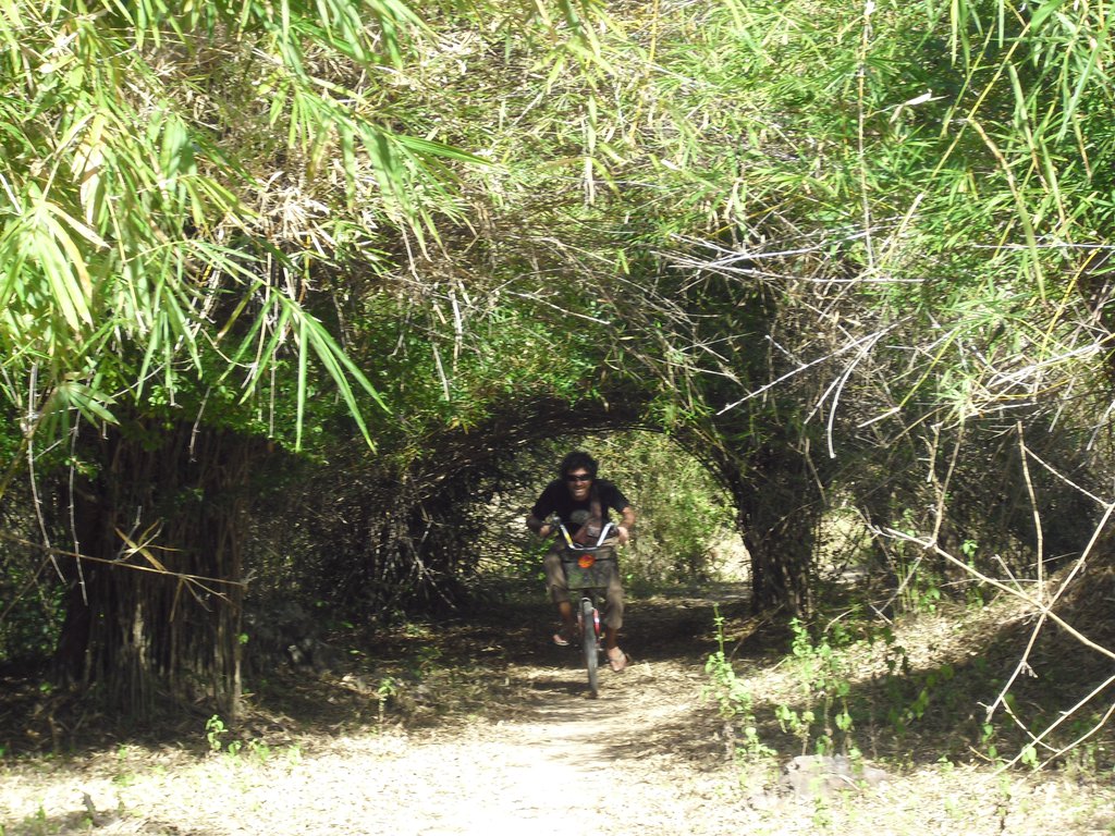 Image CIMG2605.JPG