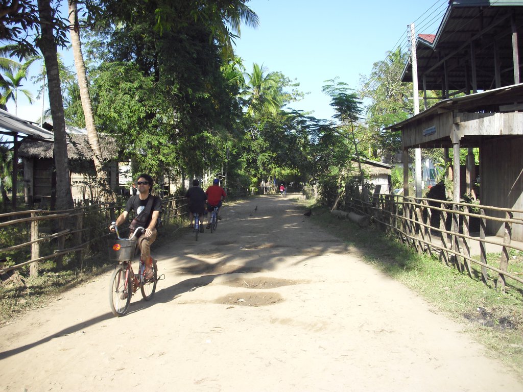 Image CIMG2608.JPG