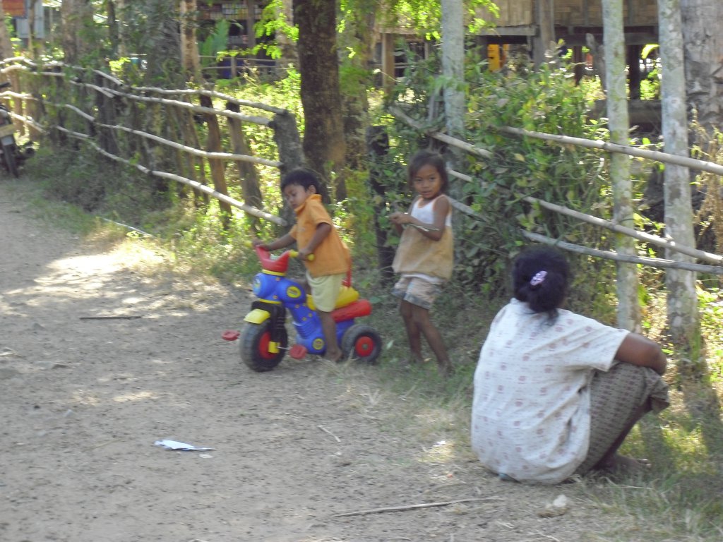 Image CIMG2610.JPG