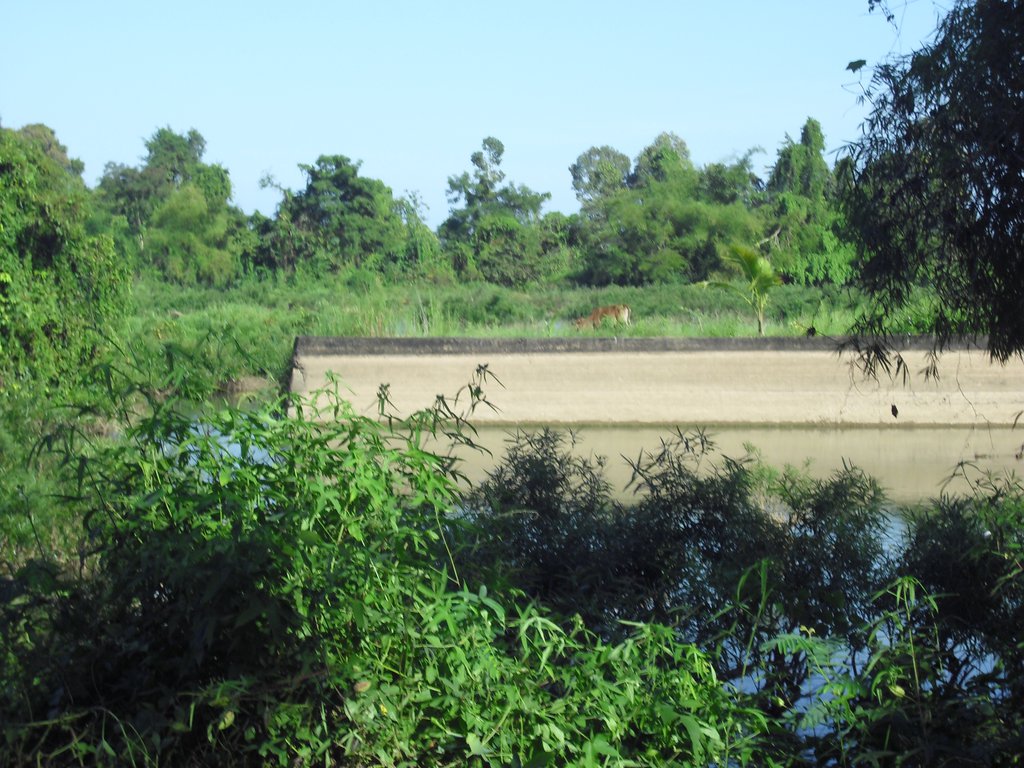 Image CIMG2616.JPG