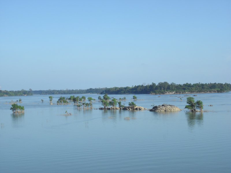 Image CIMG2619.JPG