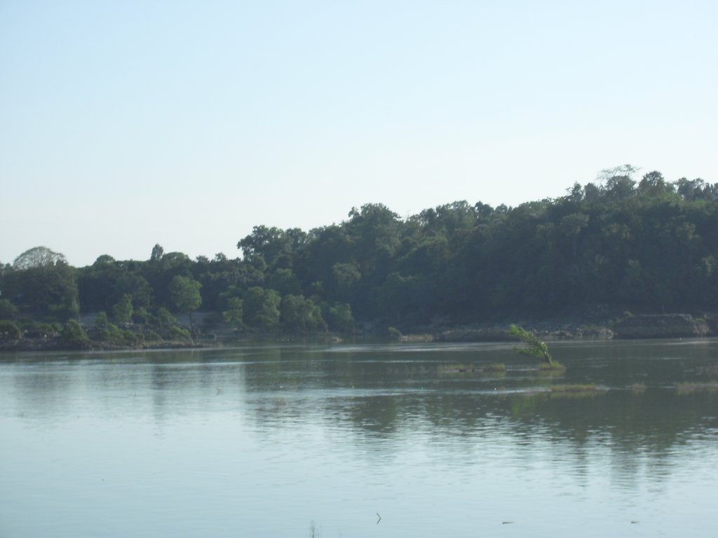 Image CIMG2624.JPG