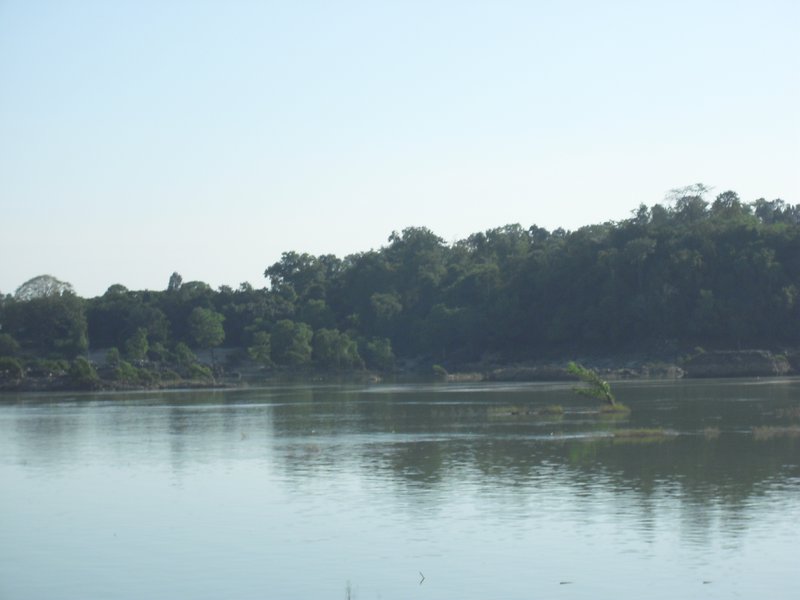 Image CIMG2624.JPG