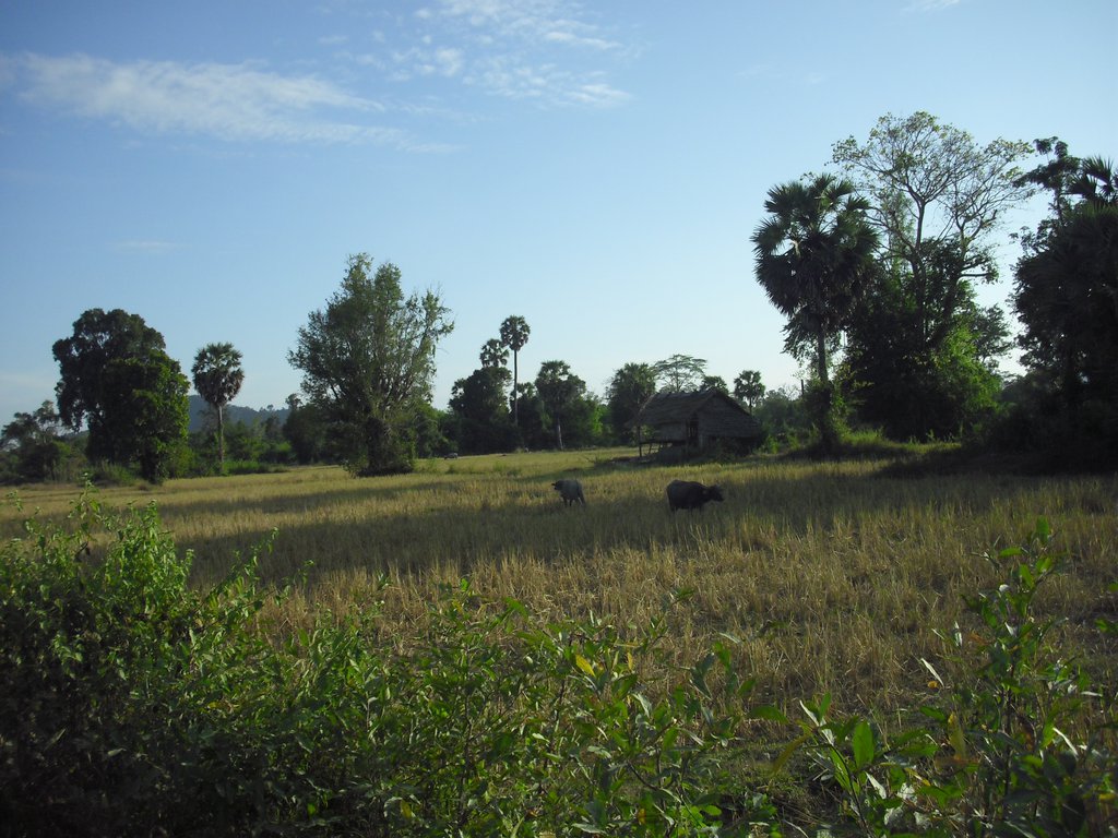 Image CIMG2625.JPG
