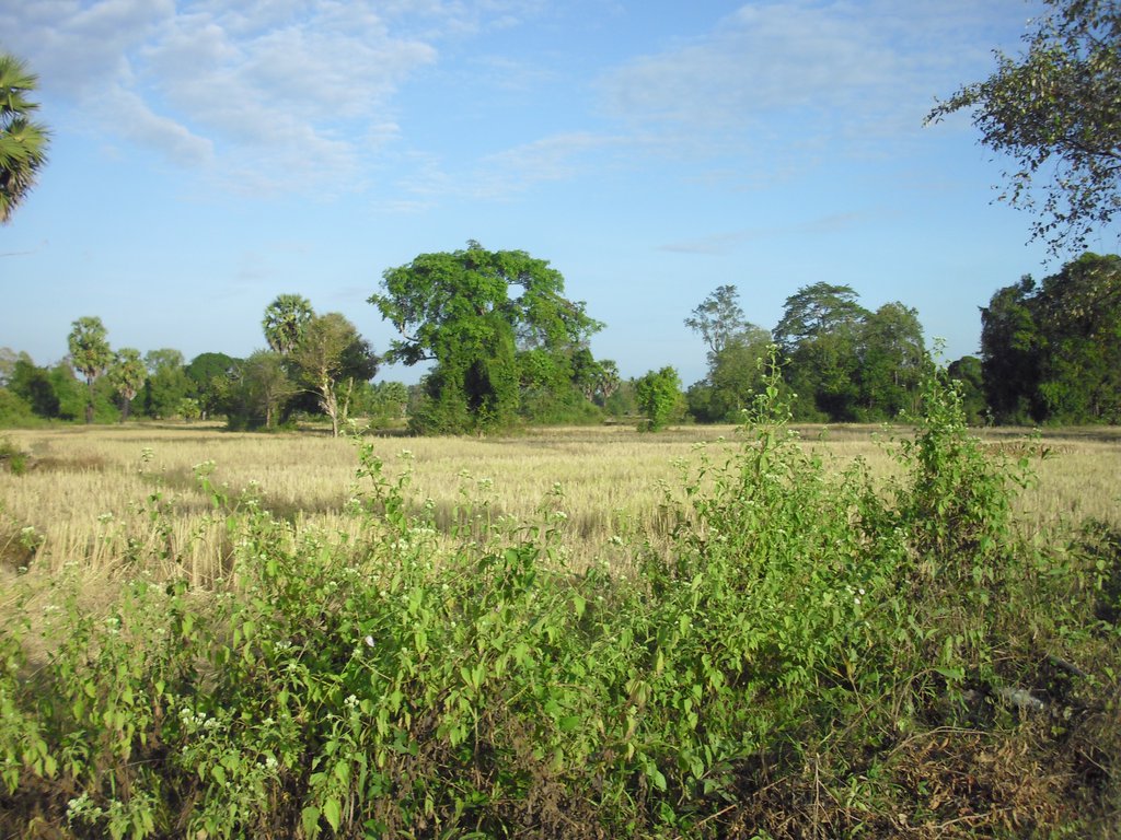 Image CIMG2627.JPG