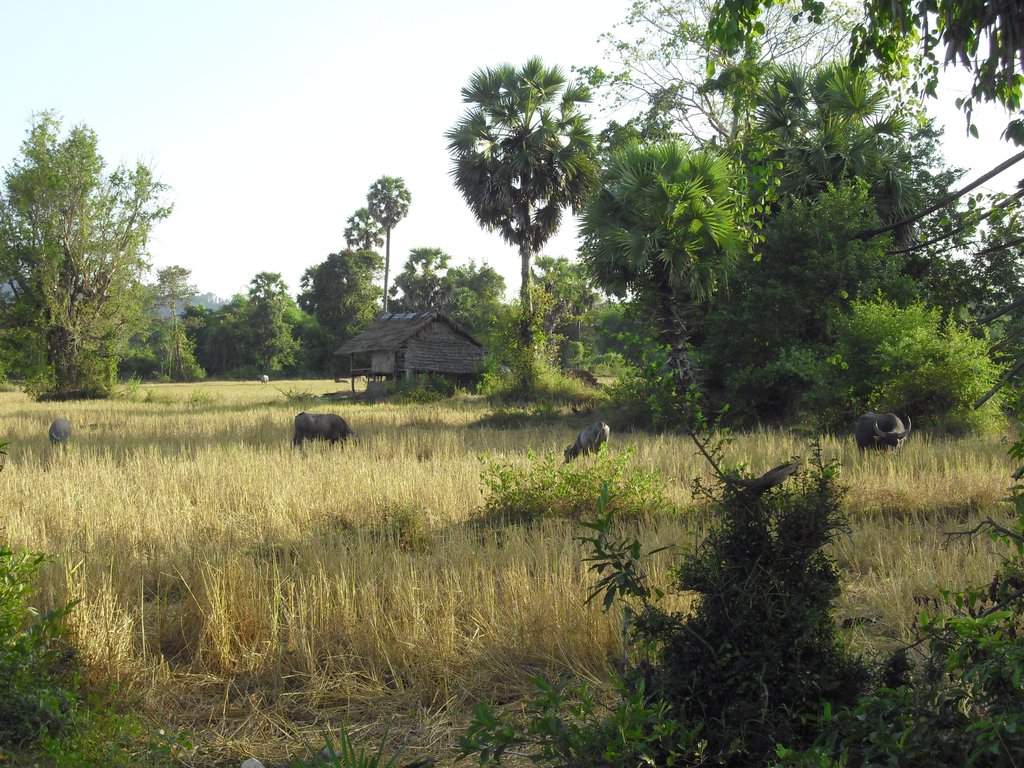 Image CIMG2630.JPG