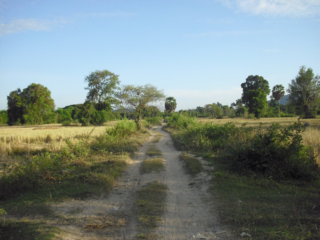 Image CIMG2631.JPG