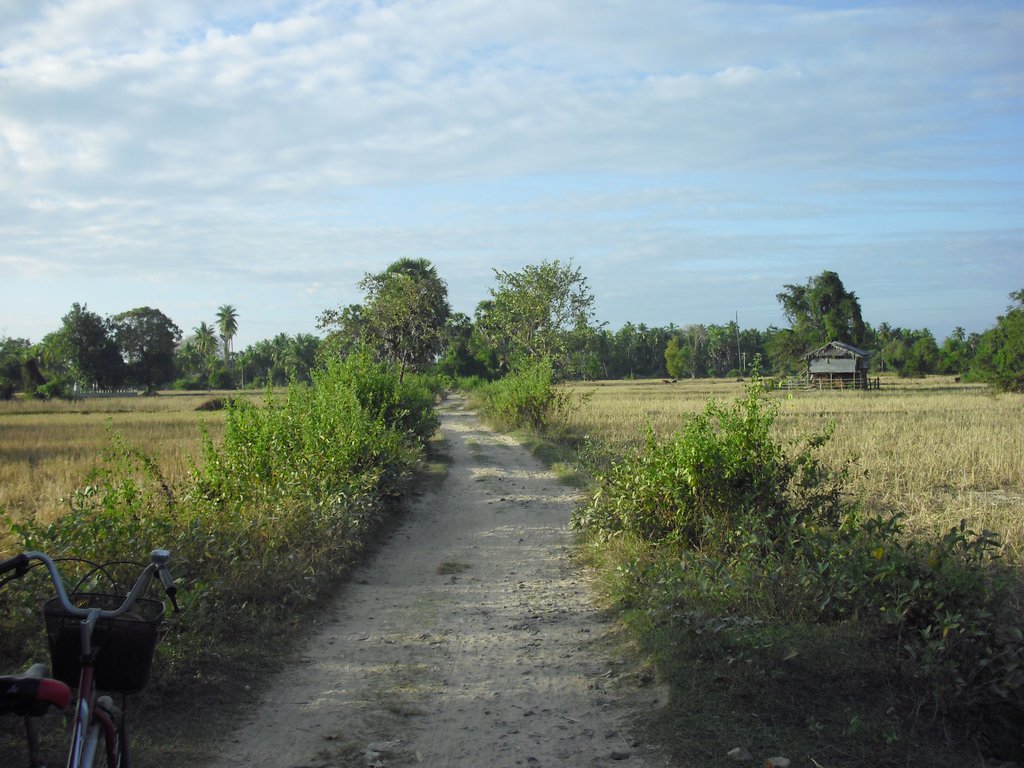 Image CIMG2632.JPG