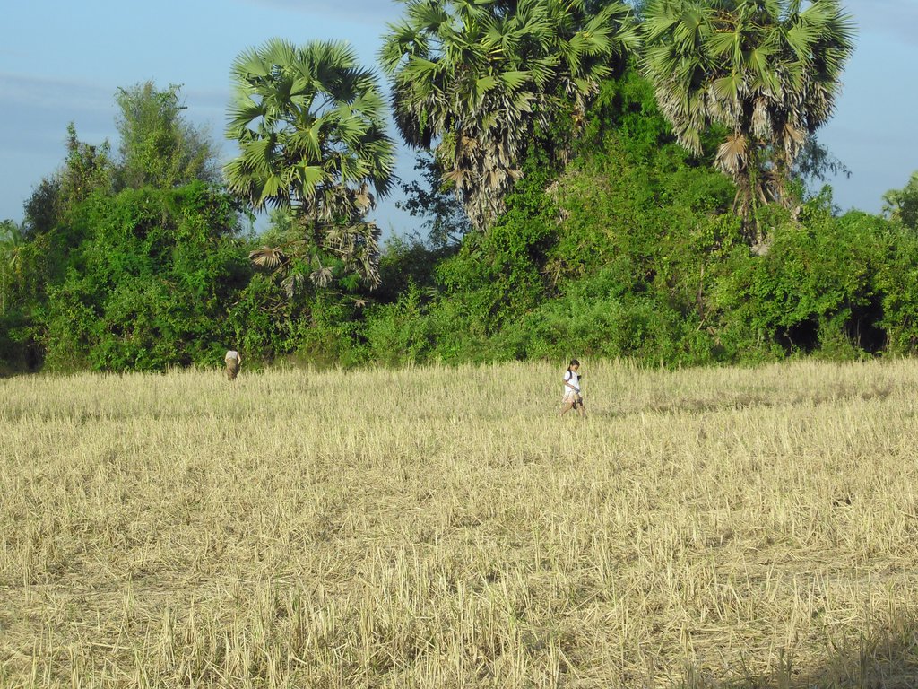 Image CIMG2633.JPG